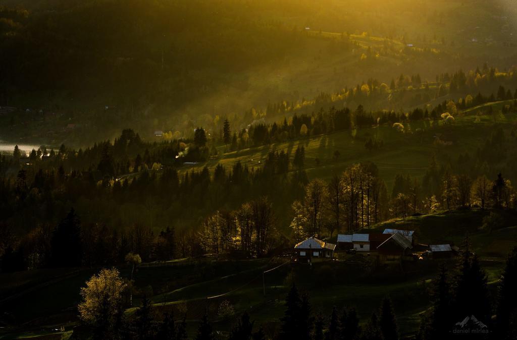 Pensiunea Lac Колибица Экстерьер фото